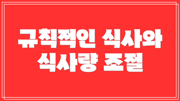 규칙적인 식사와 식사량 조절