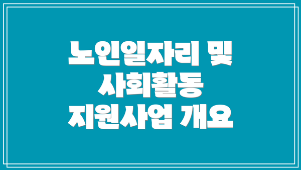 노인일자리 및 사회활동 지원사업 개요