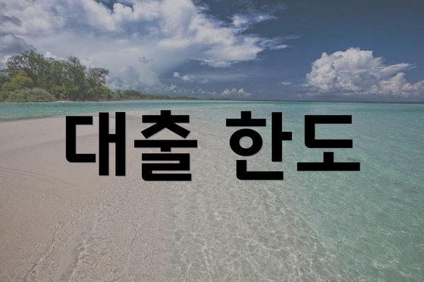 대출 한도