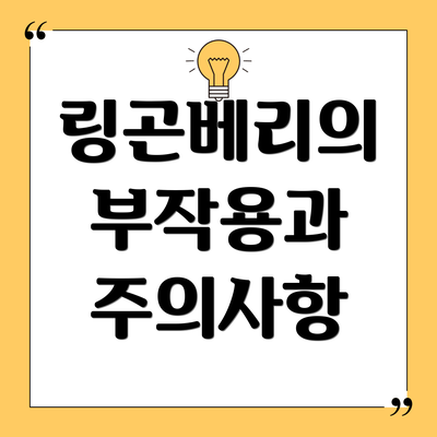 링곤베리의 부작용과 주의사항