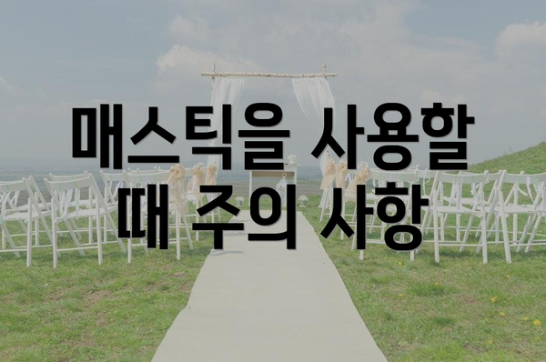 매스틱을 사용할 때 주의 사항