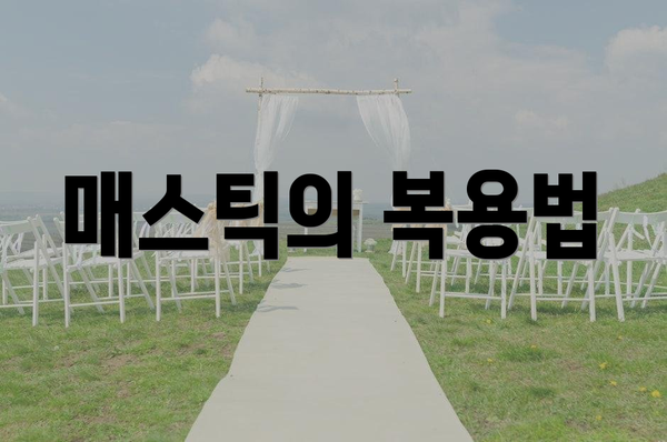 매스틱의 복용법