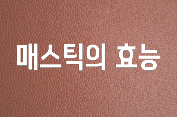 매스틱의 효능