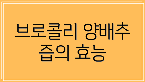 브로콜리 양배추 즙의 효능