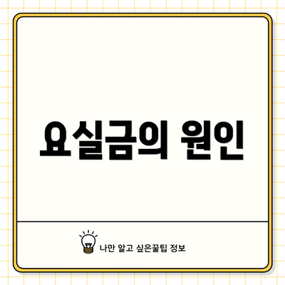 요실금의 원인