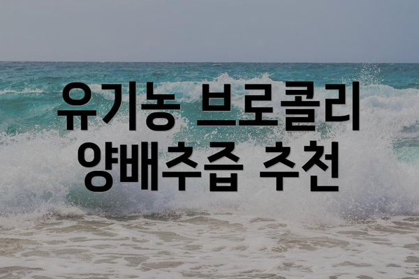 유기농 브로콜리 양배추즙 추천