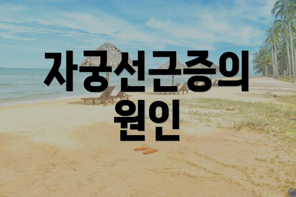 자궁선근증의 원인