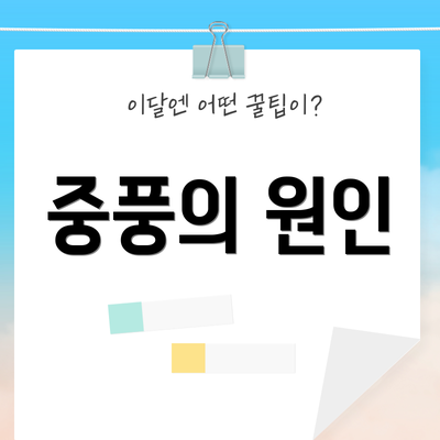 중풍의 원인
