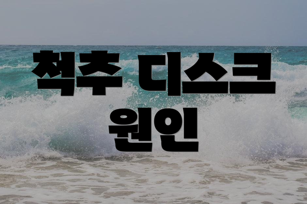 척추 디스크 원인