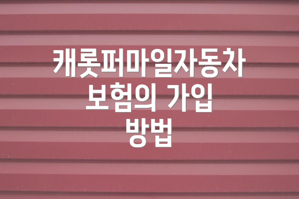 캐롯퍼마일자동차보험의 가입 방법