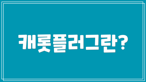 캐롯플러그란?