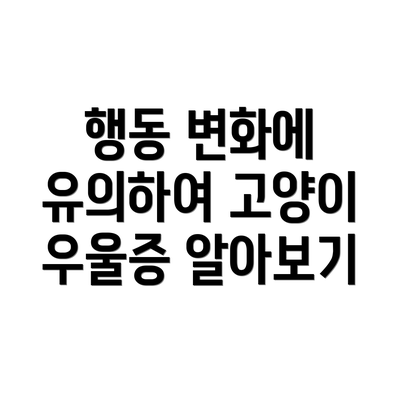 행동 변화에 유의하여 고양이 우울증 알아보기