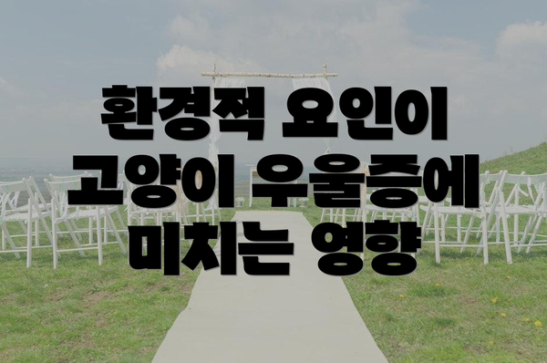 환경적 요인이 고양이 우울증에 미치는 영향