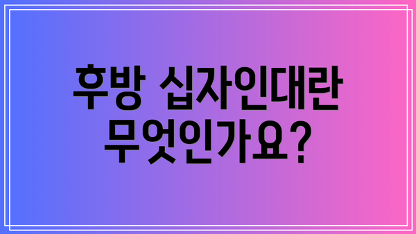 후방 십자인대란 무엇인가요?