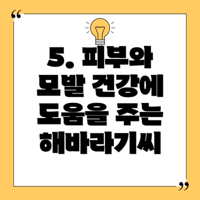 5. 피부와 모발 건강에 도움을 주는 해바라기씨