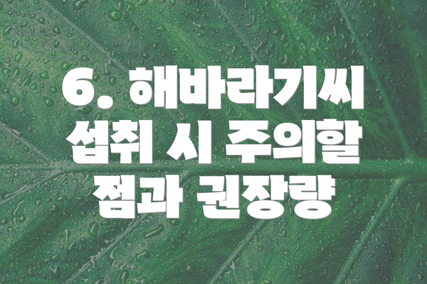 6. 해바라기씨 섭취 시 주의할 점과 권장량