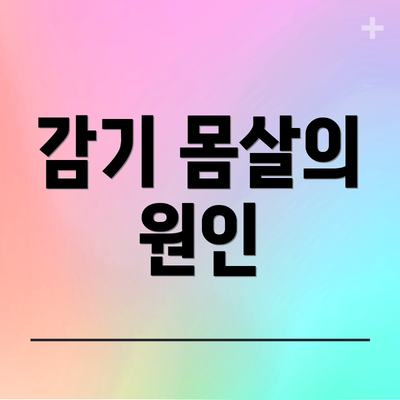 감기 몸살의 원인