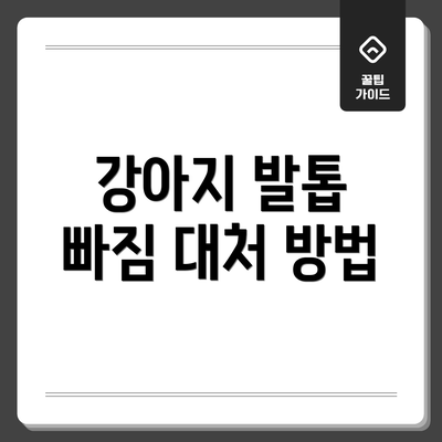 강아지 발톱 빠짐 대처 방법