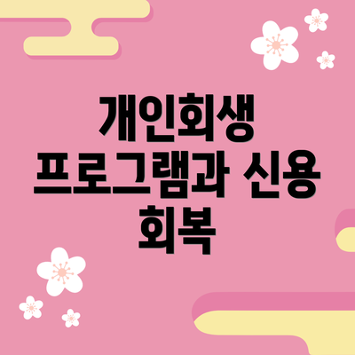 개인회생 프로그램과 신용 회복