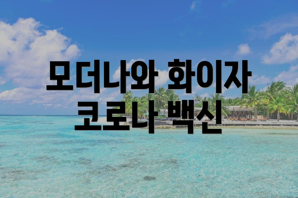 모더나와 화이자 코로나 백신