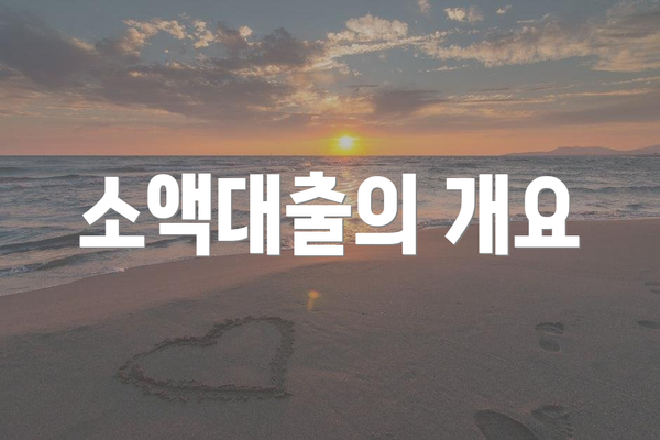 소액대출의 개요