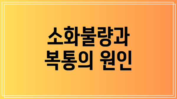 소화불량과 복통의 원인