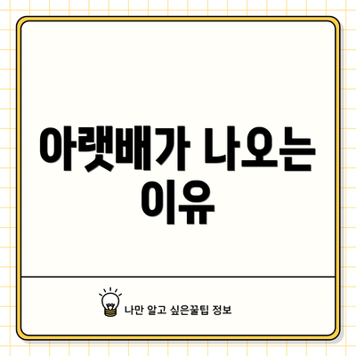 아랫배가 나오는 이유