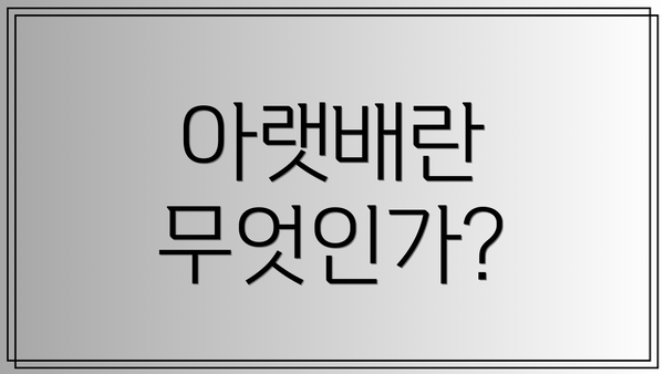 아랫배란 무엇인가?