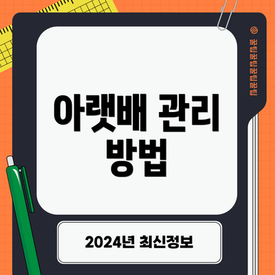 아랫배 관리 방법