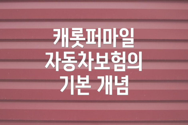 캐롯퍼마일 자동차보험의 기본 개념