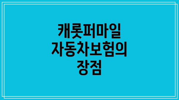 캐롯퍼마일 자동차보험의 장점