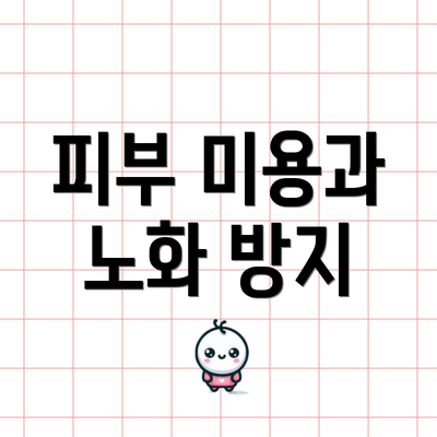 피부 미용과 노화 방지