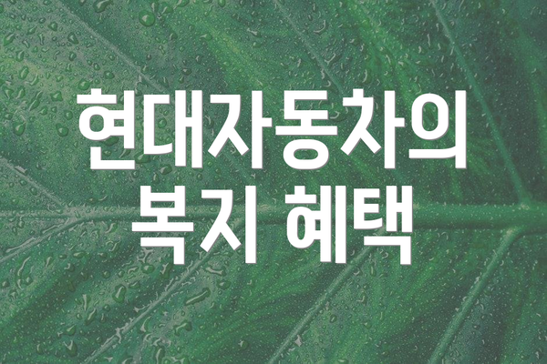 현대자동차의 복지 혜택