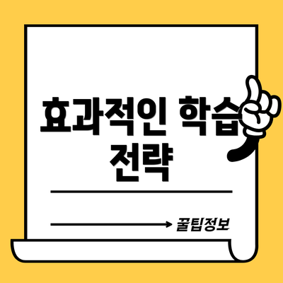 효과적인 학습 전략
