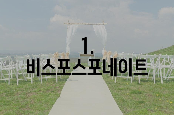 1. 비스포스포네이트