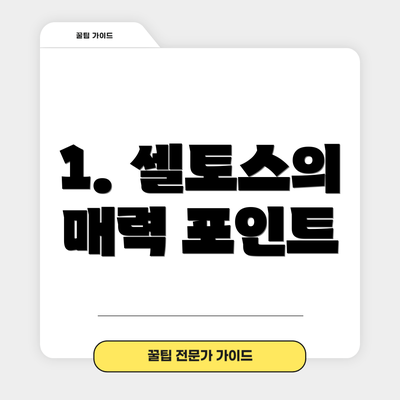 1. 셀토스의 매력 포인트