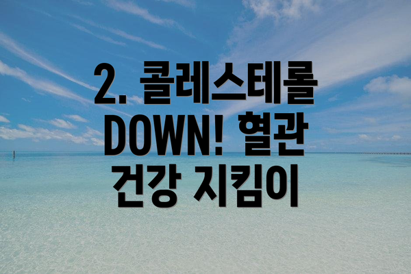 2. 콜레스테롤 DOWN! 혈관 건강 지킴이