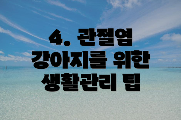 4. 관절염 강아지를 위한 생활관리 팁