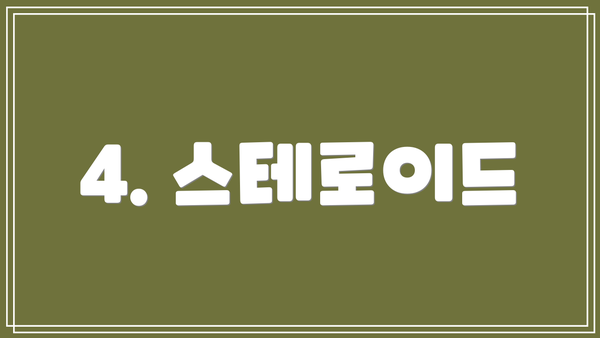 4. 스테로이드