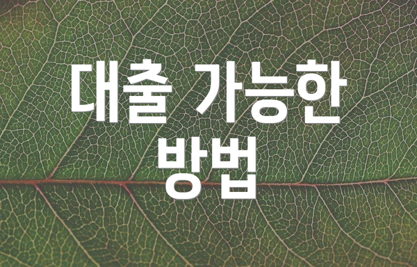 대출 가능한 방법