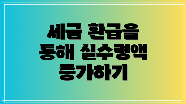 세금 환급을 통해 실수령액 증가하기