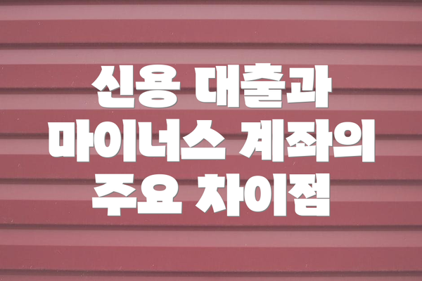 신용 대출과 마이너스 계좌의 주요 차이점