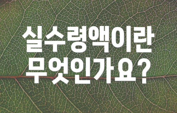 실수령액이란 무엇인가요?