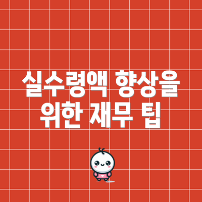 실수령액 향상을 위한 재무 팁
