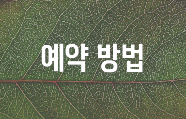 예약 방법