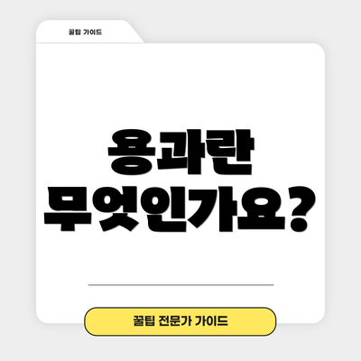 용과란 무엇인가요?