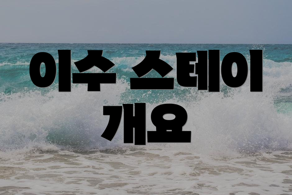 이수 스테이 개요