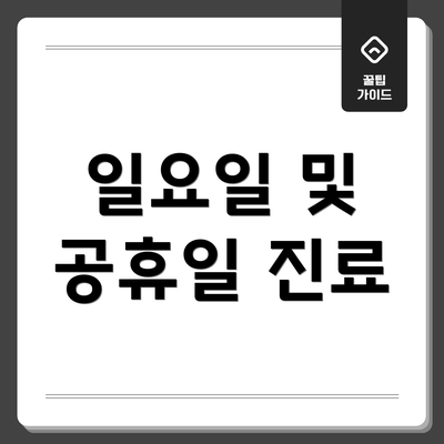일요일 및 공휴일 진료