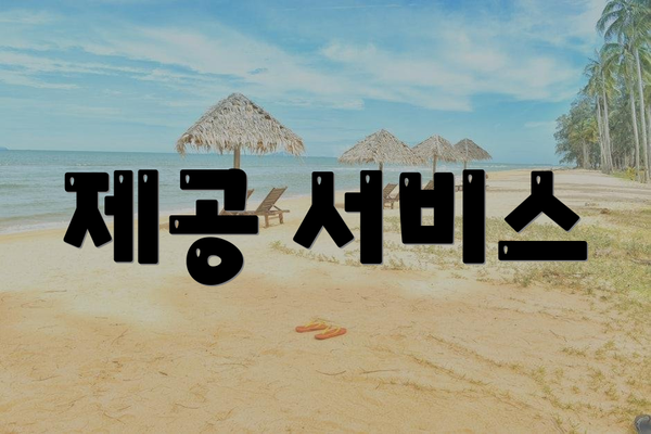 제공 서비스