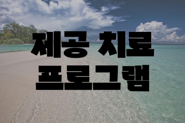 제공 치료 프로그램